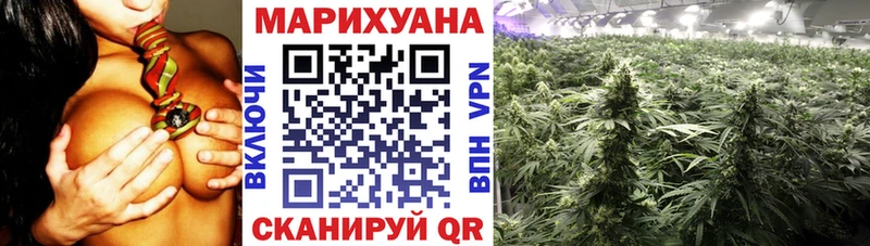 Купить  Усмань  Марихуана OG Kush